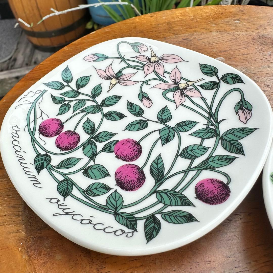 ARABIA ボタニカ エストリ トムラ プレートx2