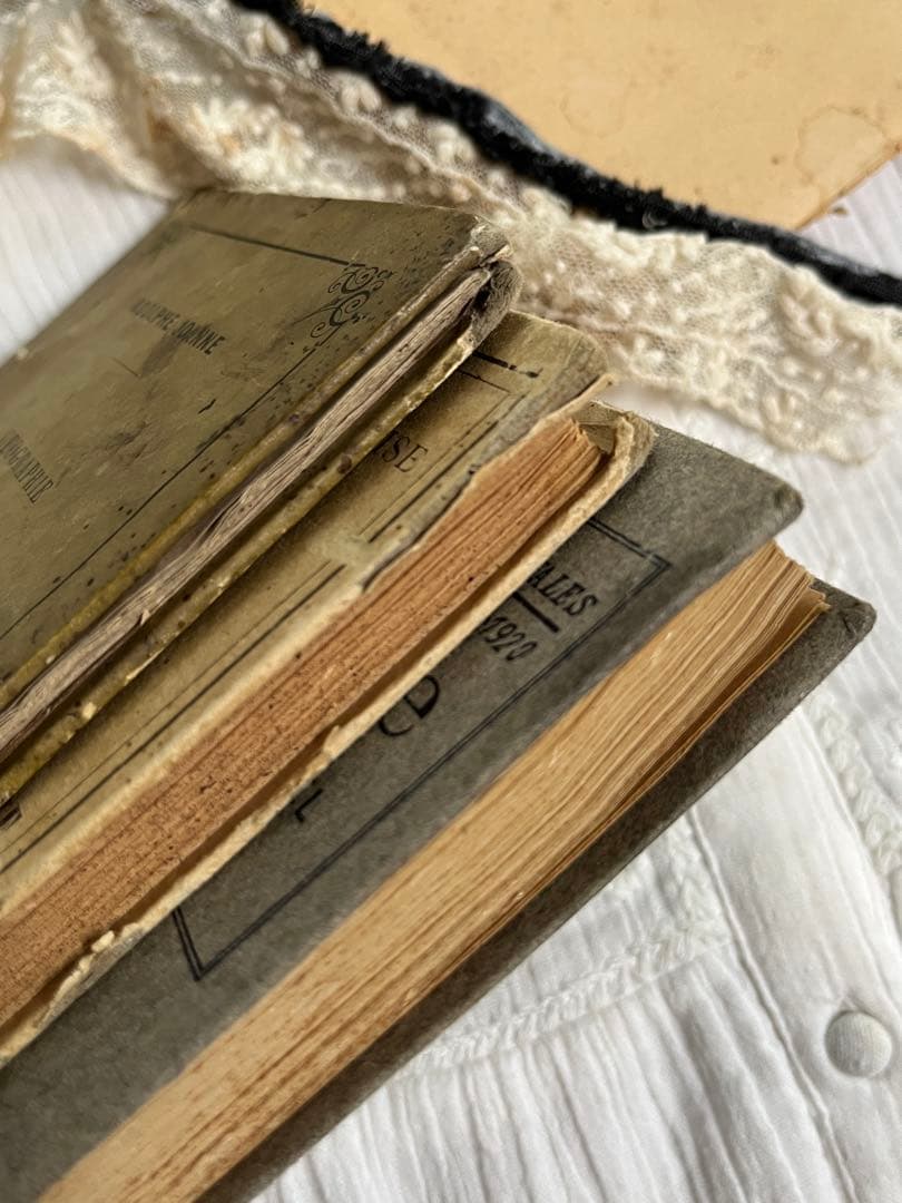 ◆SALE◆フランスアンティーク｜100年前古書教科書詩集手書きハガキ紙もの挿絵