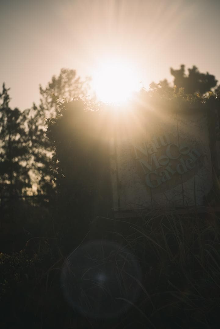 美品！赤エルマーダイヤ入！Redscale Elmar 50mm F3.5