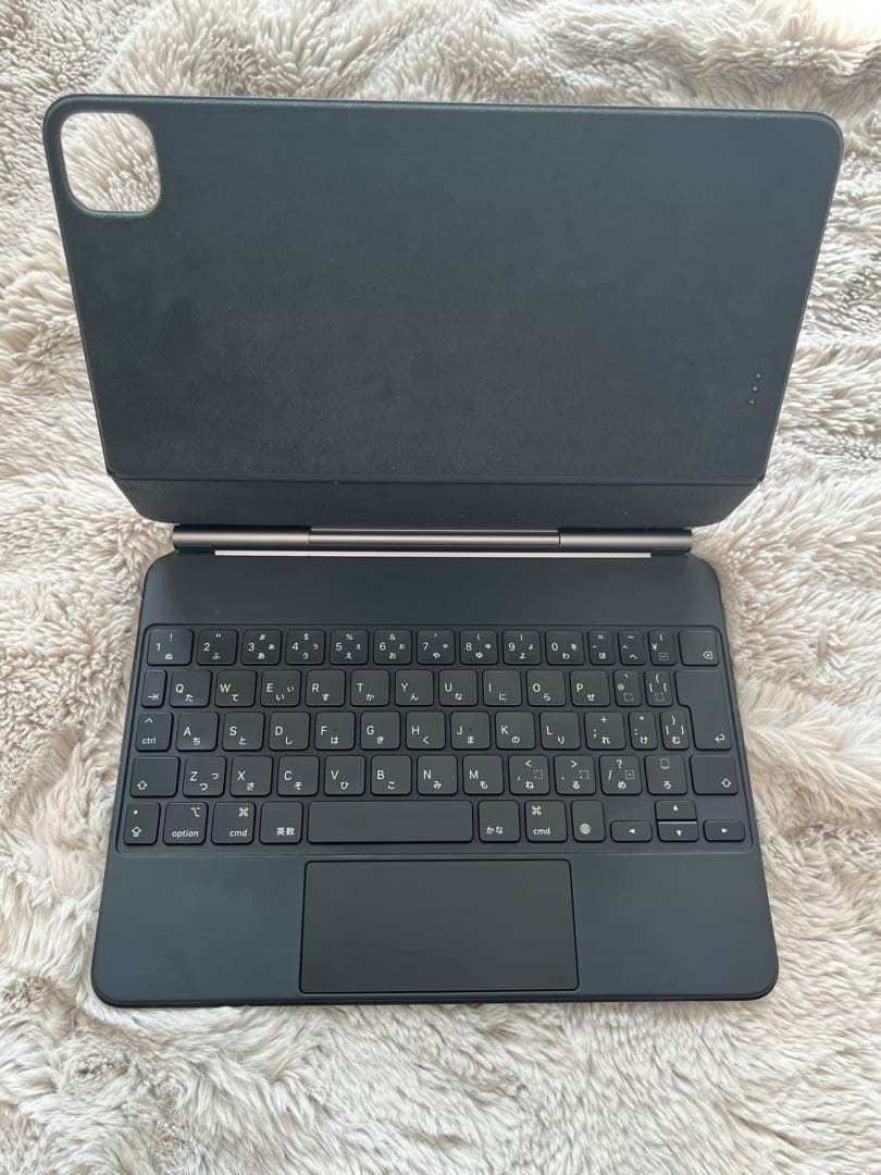 iPad本体 iPad Pro 11 Magic Keyboard Apple Pencil