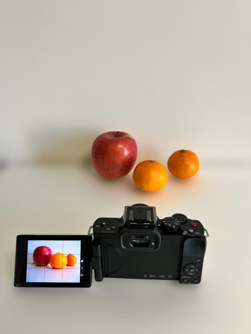 Panasonic LUMIX DC-G100V レンズ2本セット