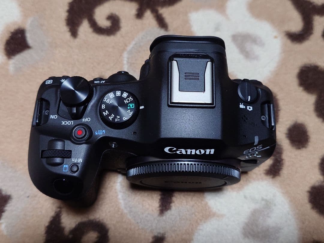 Canon EOS R6 Mark Ⅲ 本体