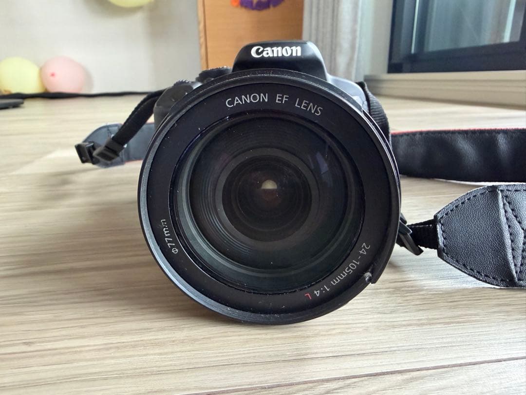 Canon EOS デジタル一眼レフカメラ EF 24-105mm