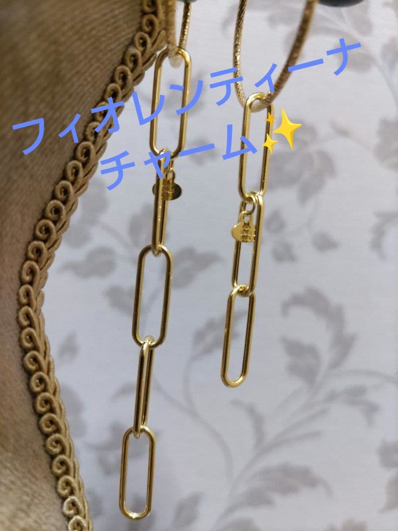 フィオレンティーナ チャーム GSTV