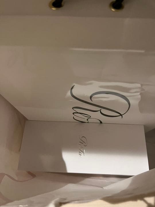 新品リファビューテックドライヤープロ（白）　ビューテックエピ　潔癖