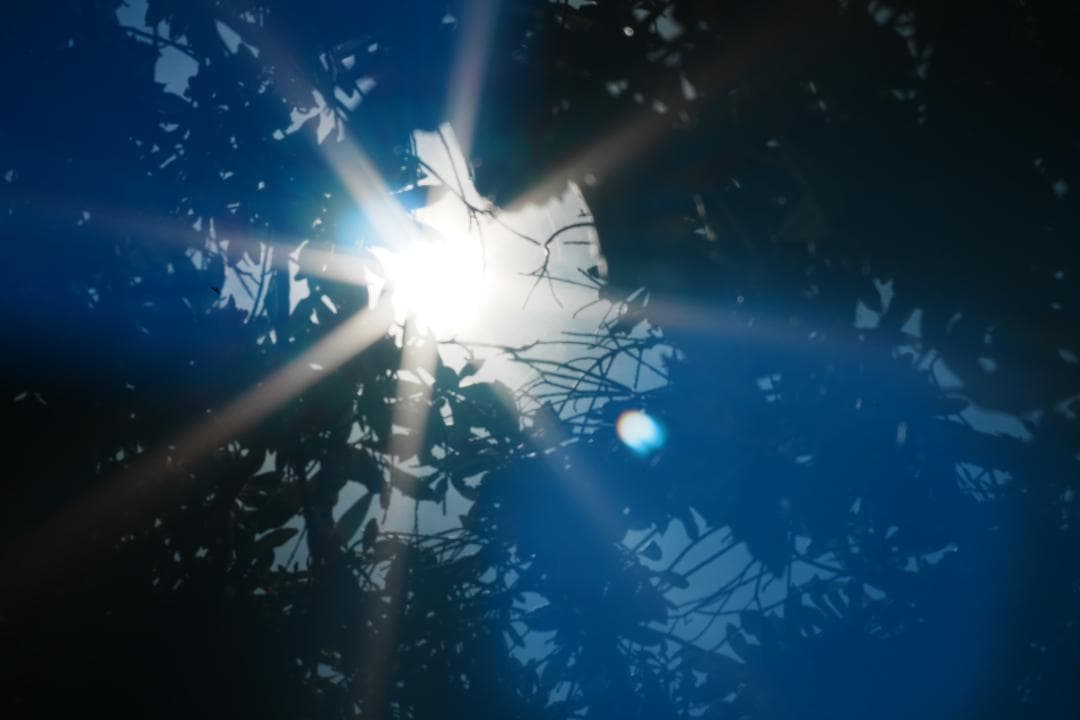 【希少・大口径】Canon New FD 135mm F2 086