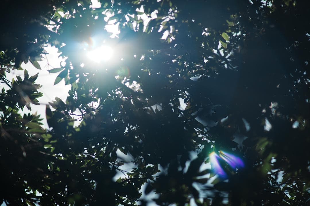 【希少・大口径】Canon New FD 135mm F2 086