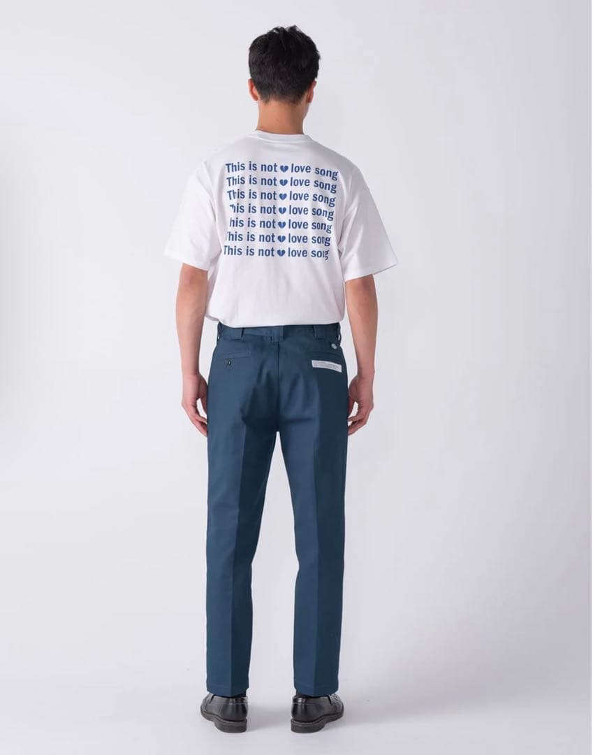 パンツ DICKIES 10L SLIM PANTS \"BENEDICT\"