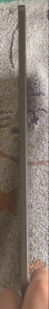 iPadPro第2世代11インチ256GB Wi-Fiモデル 箱付きタッチペン付