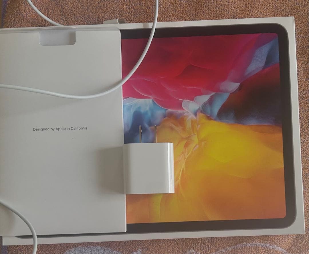 iPadPro第2世代11インチ256GB Wi-Fiモデル 箱付きタッチペン付