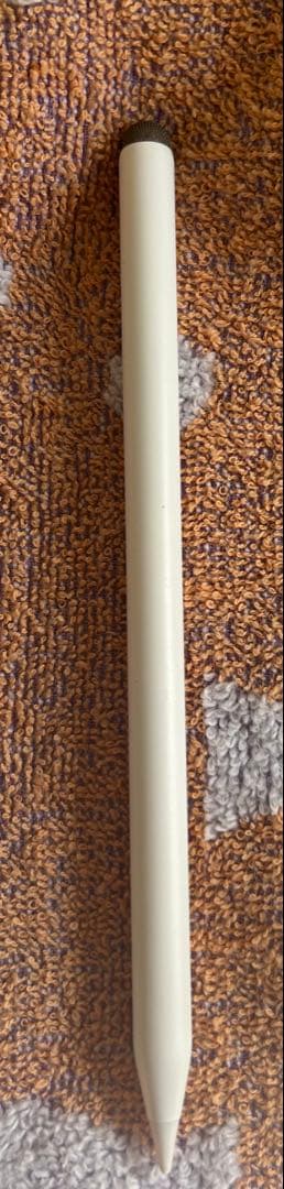 iPadPro第2世代11インチ256GB Wi-Fiモデル 箱付きタッチペン付