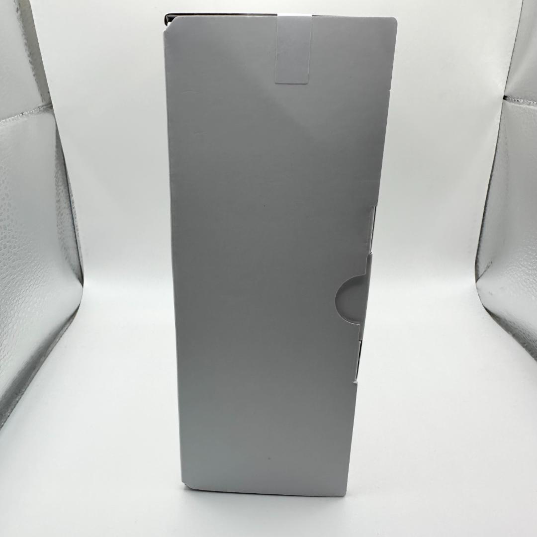 SONY REON POCKET PRO RNPK-P1 レオンポケット