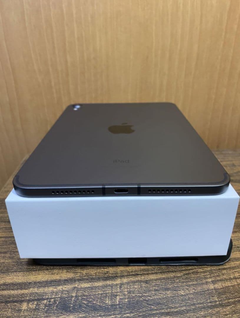 iPad mini セルラー256GB 美品　Apple pencil付き