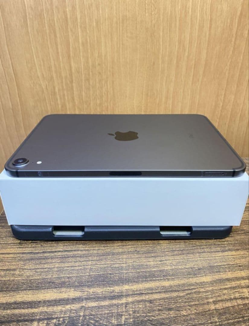 iPad mini セルラー256GB 美品　Apple pencil付き