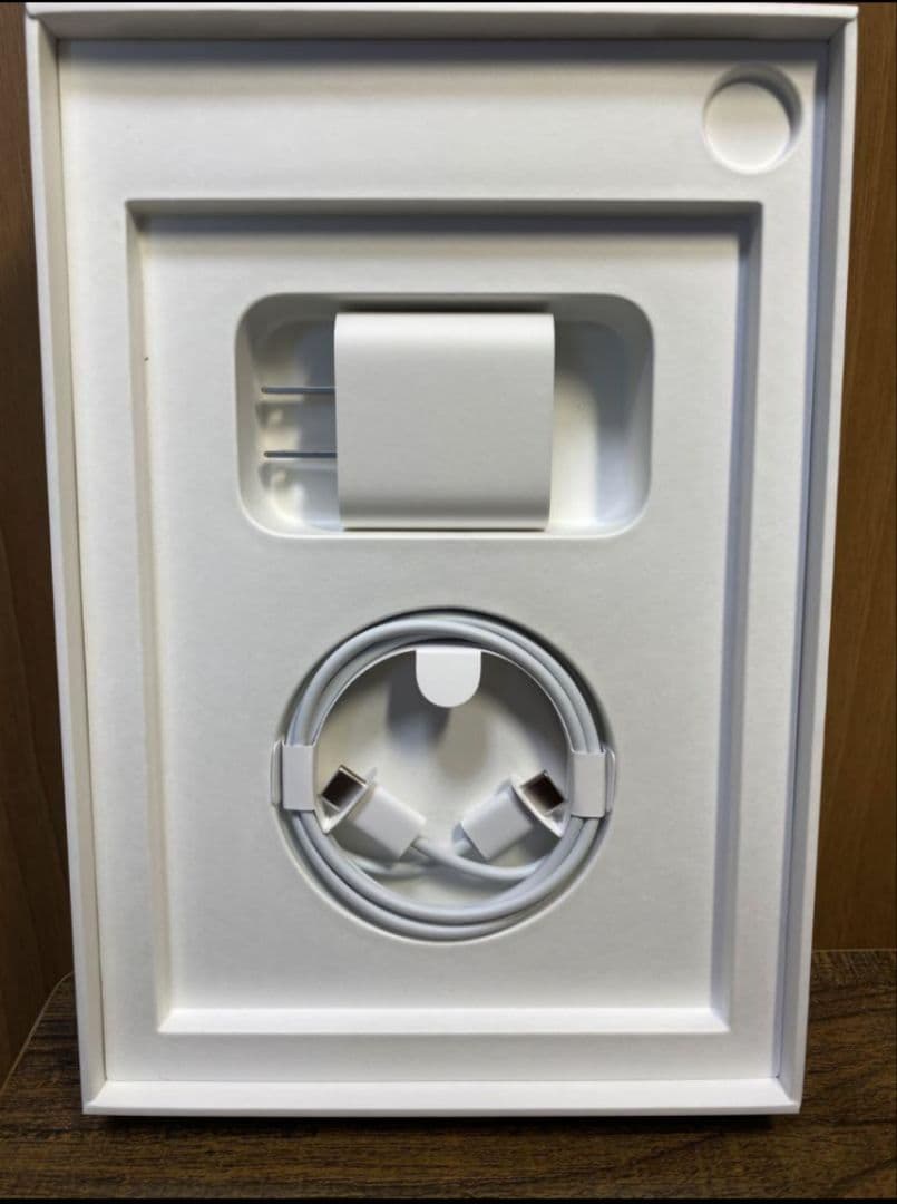 iPad mini セルラー256GB 美品　Apple pencil付き