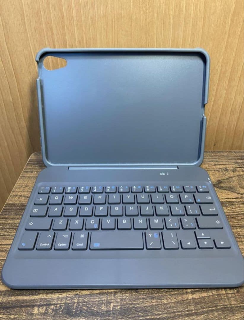 iPad mini セルラー256GB 美品　Apple pencil付き