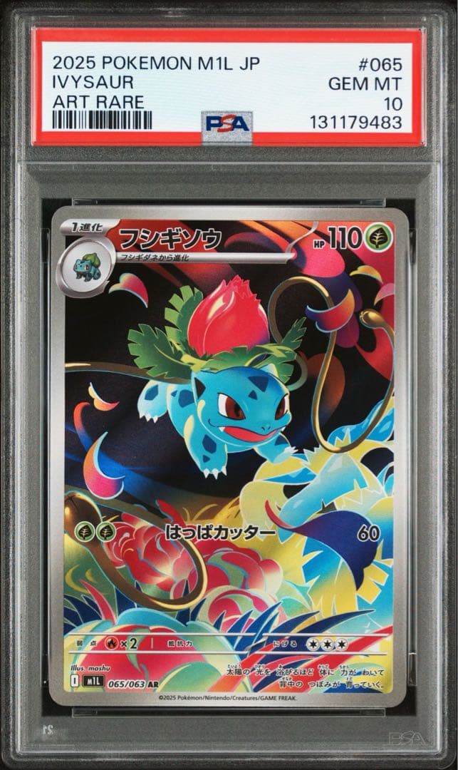 【PSA10】フシギダネ フシギソウ メガフシギバナex 3連番