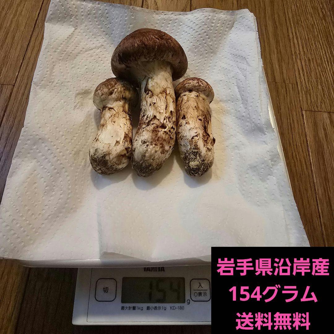 岩手県沿岸産 松茸 【蕾2と少し開き1】154ｇ 送料無料‼️