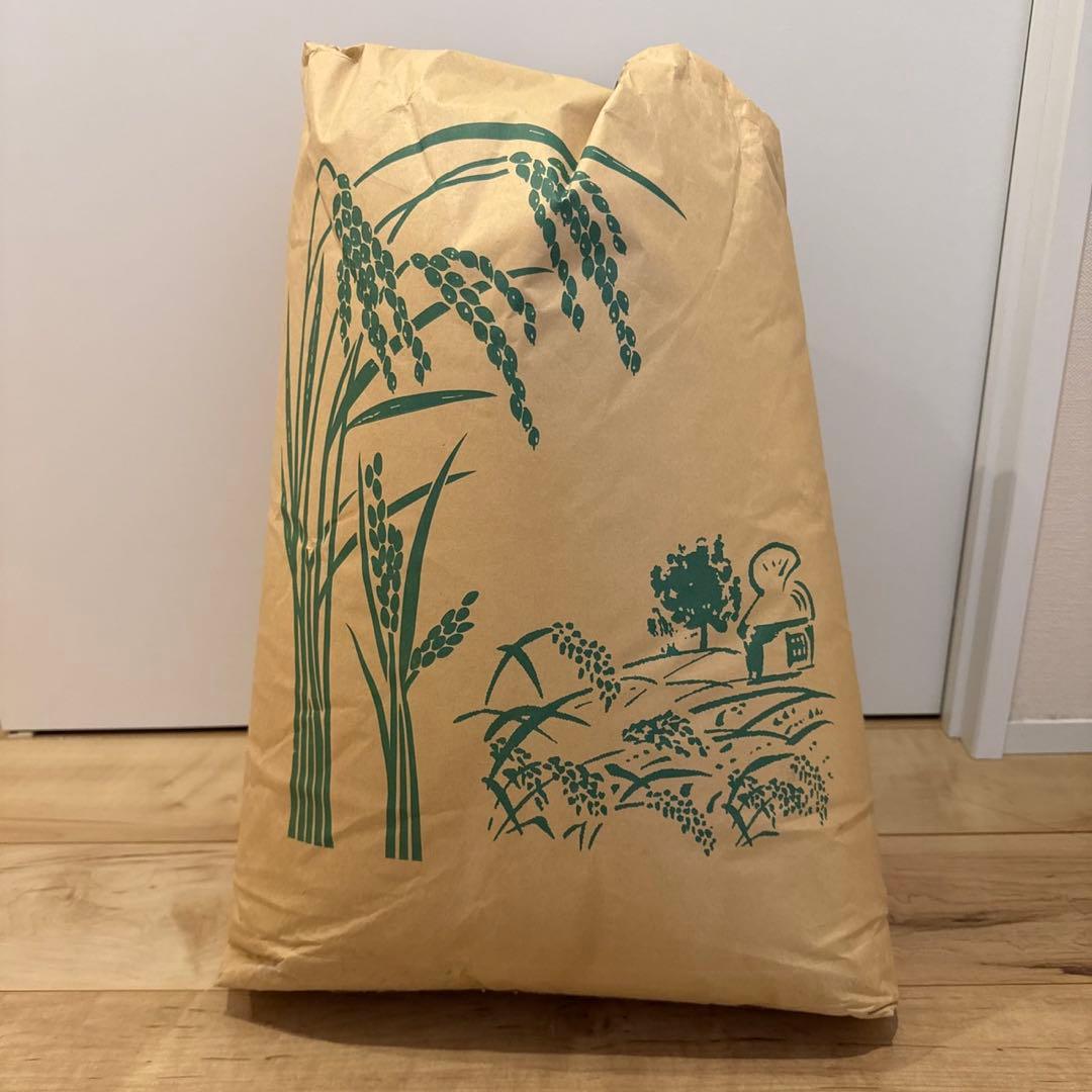 愛媛県産 きぬむすめ 令和6年玄米古米