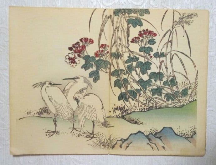 彩色木版画画帖本竹洞花鳥畫譜初版中林竹洞名古屋の江戸後期の画家安永5年～嘉永6年