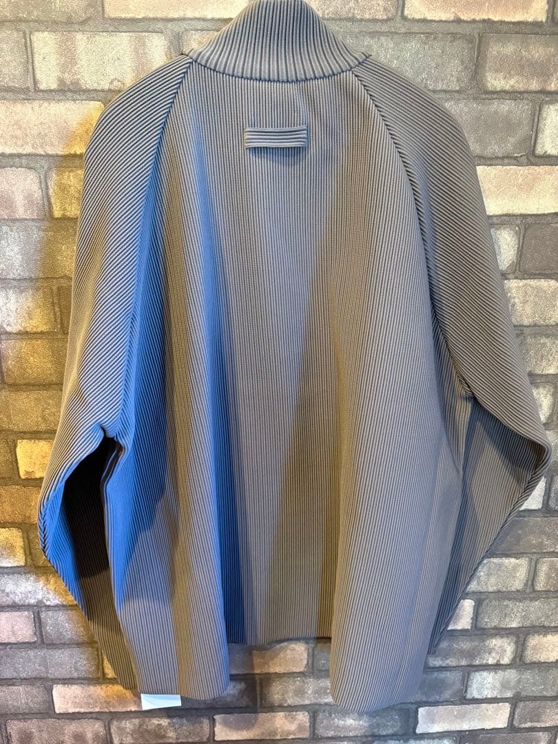 stein OVERSIZED GRADATION PLEATS LSグレージュ