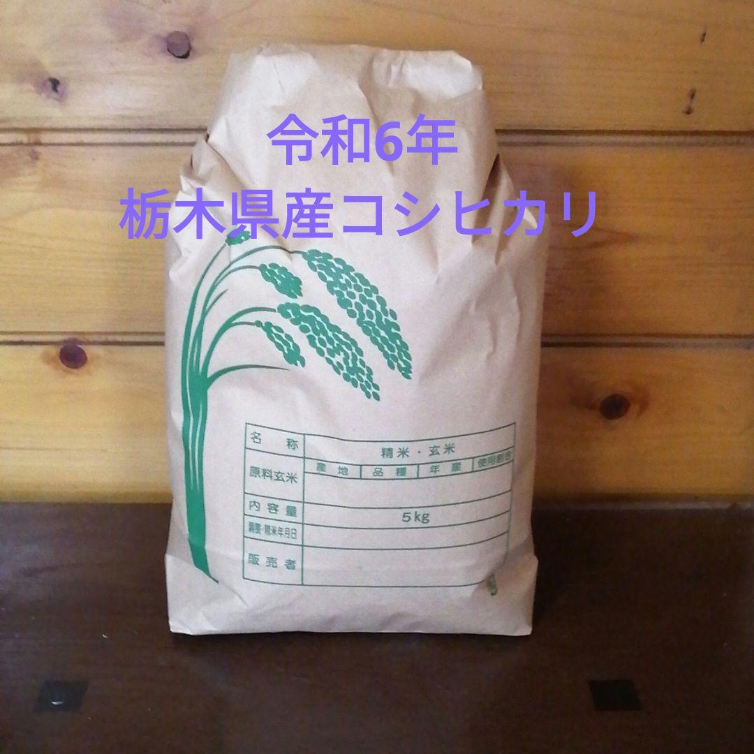 令和6年栃木県産コシヒカリ白米10kg
