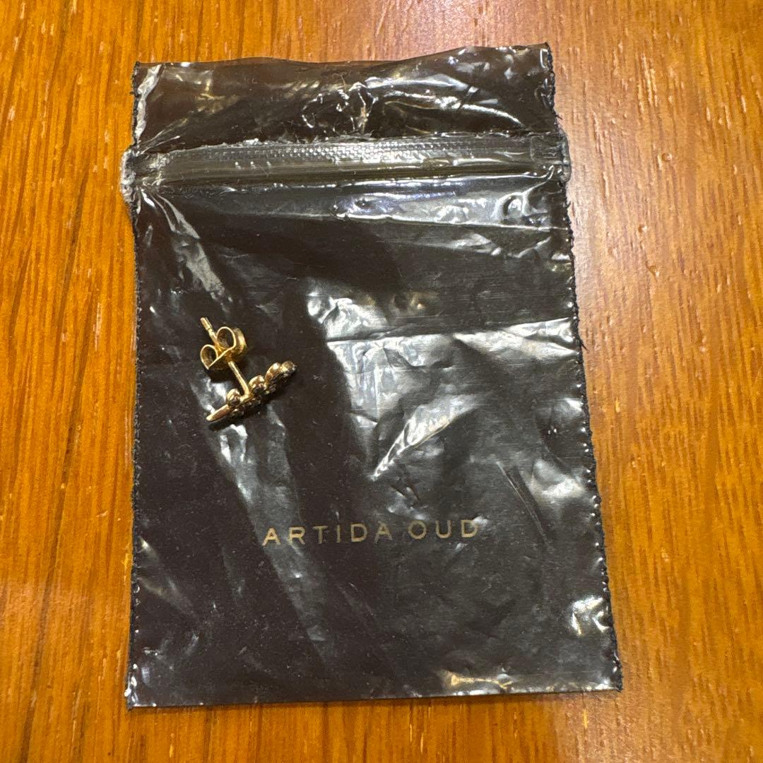 アルティーダウード　リーフパヴェ　ピアス