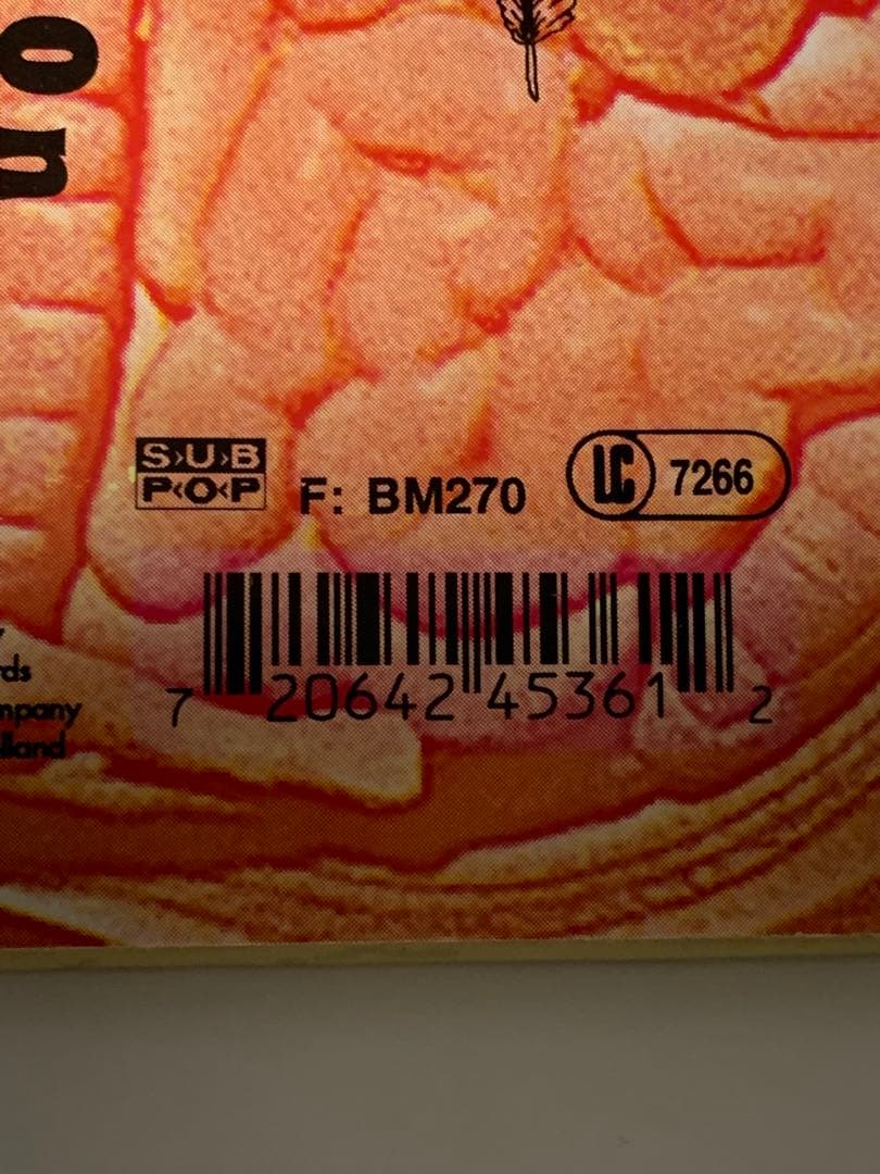 1993年　Nirvana In Utero レコード