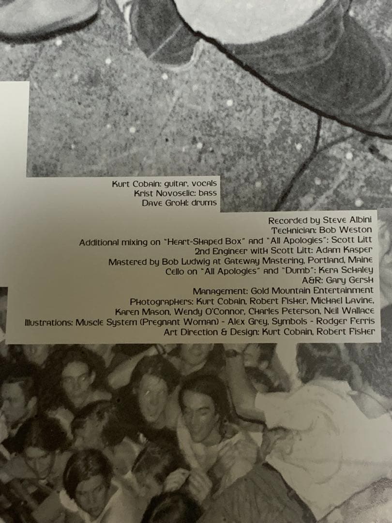 1993年　Nirvana In Utero レコード