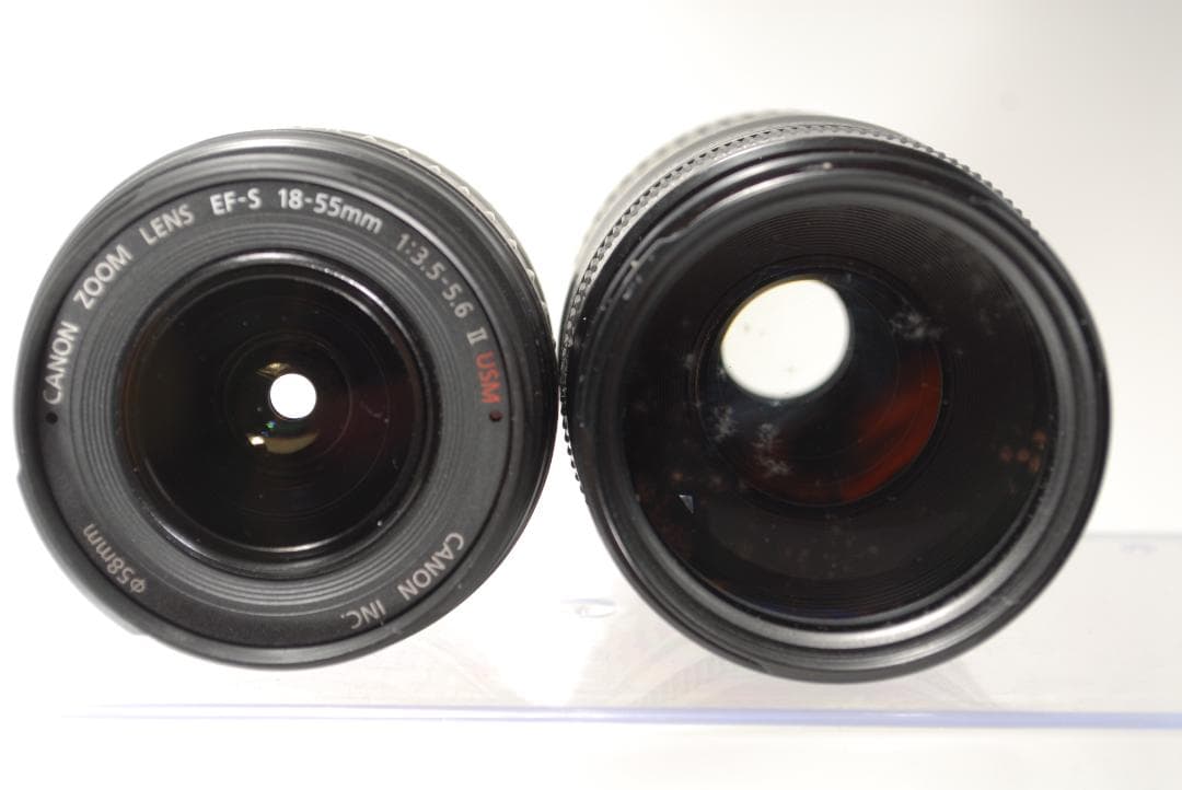 ☘️動作良品☘️Canon EOS 7D Mark Ⅱ 超望遠ダブルレンズセット