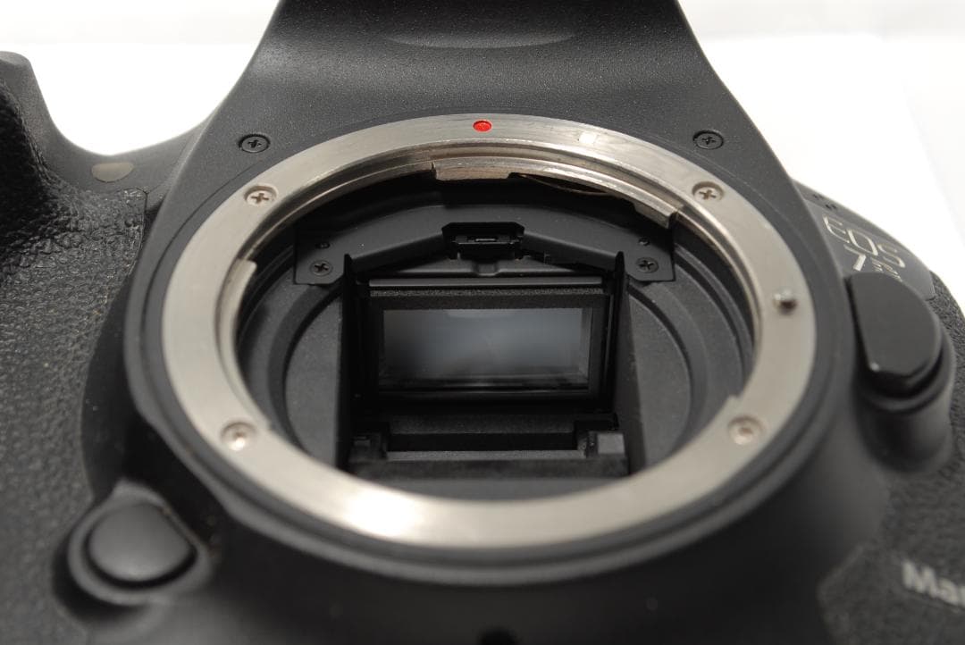 ☘️動作良品☘️Canon EOS 7D Mark Ⅱ 超望遠ダブルレンズセット