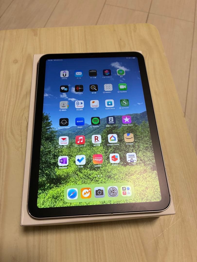 Apple iPad mini 第6世代 WiFi + cellular64GB