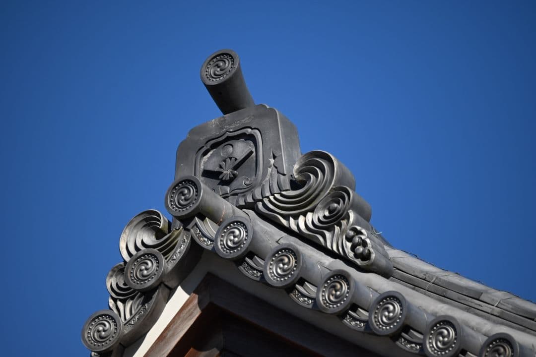 ニコン Nikon RF500 レフレックス