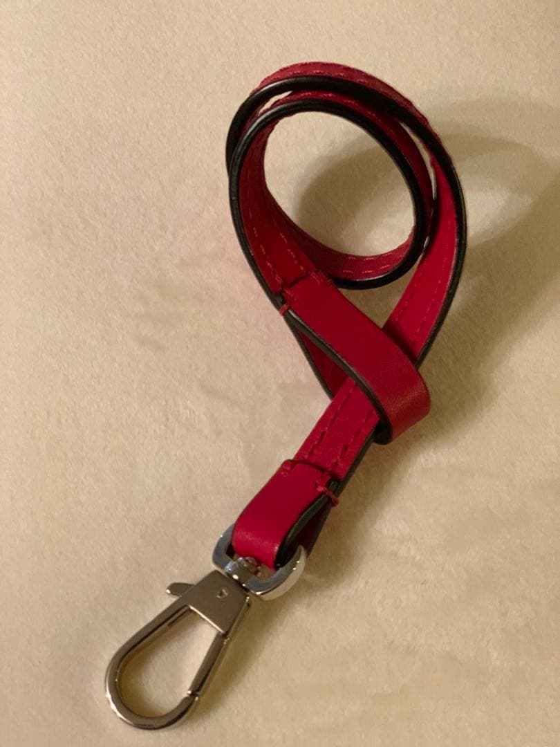 Hervé Chapelier 1660L レザーストラップ 赤