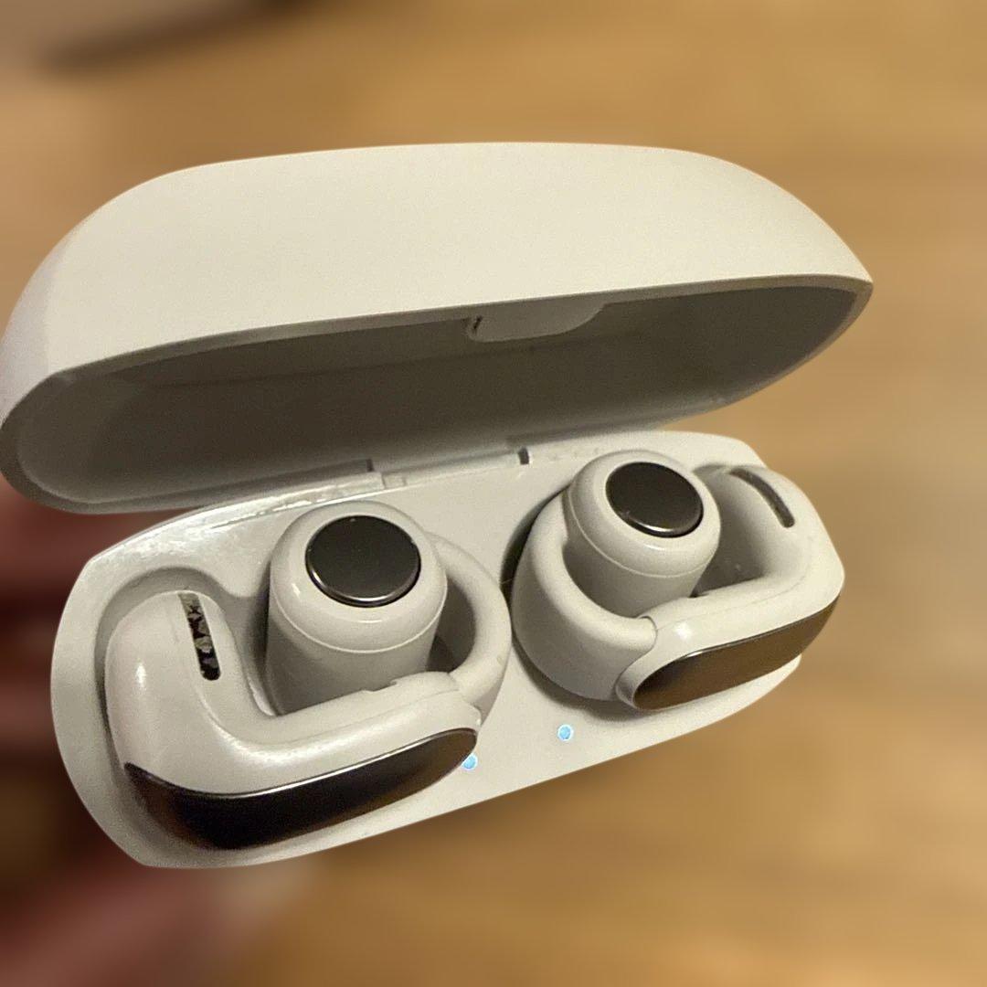 Bose QuietComfort Earbuds ホワイト ケース付き