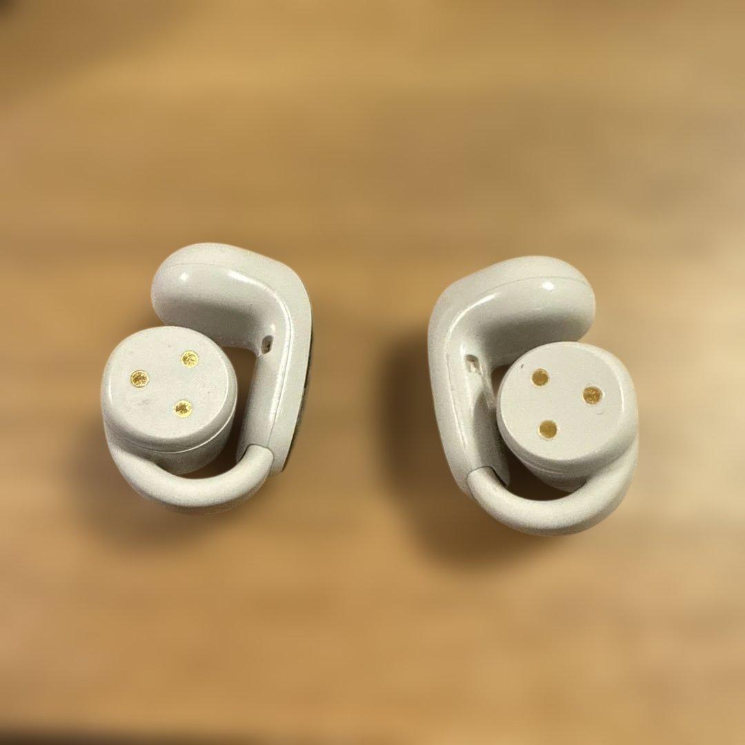 Bose QuietComfort Earbuds ホワイト ケース付き