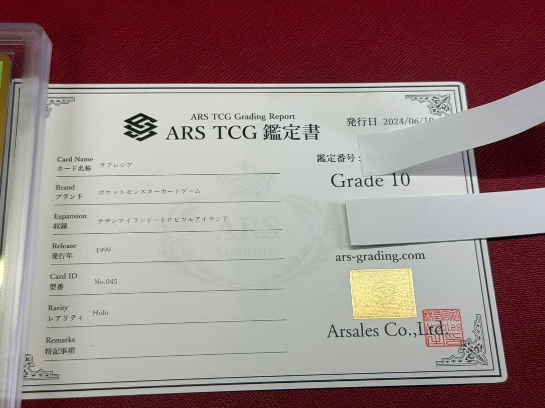 ラフレシア 映画公開記念パック サザンアイランド　旧裏　ARS10