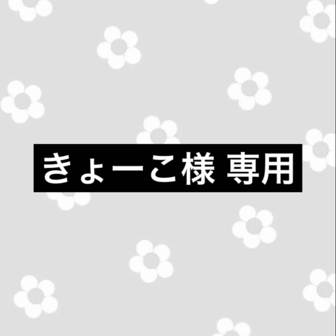 きょーこ トレカ グッズ セット