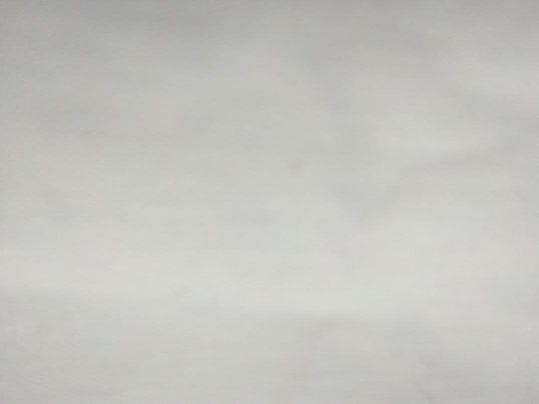 全健会あおたけ&すややかファスナー付き枕カバー12枚お纏め