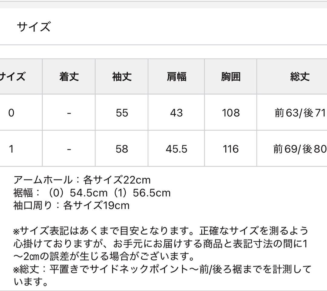 BEARDSLEY Tブラウス　サイズ1（試着のみ）