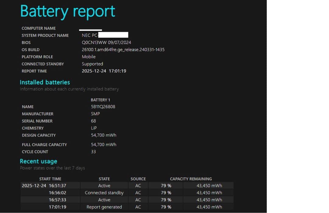 NEC LAVIE N13Slim メモリ16GB SSD 2T換装