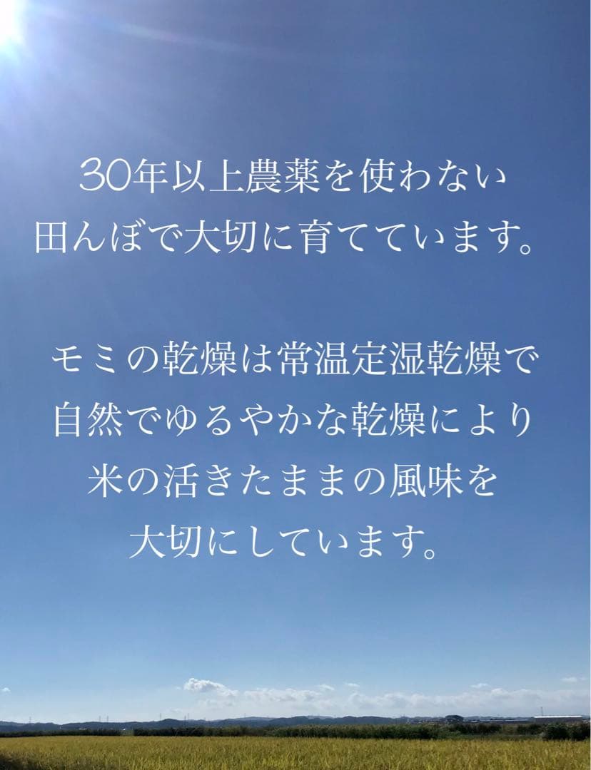 ササニシキ　玄米10キロ　農薬不使用・肥料不使用　自然栽培米