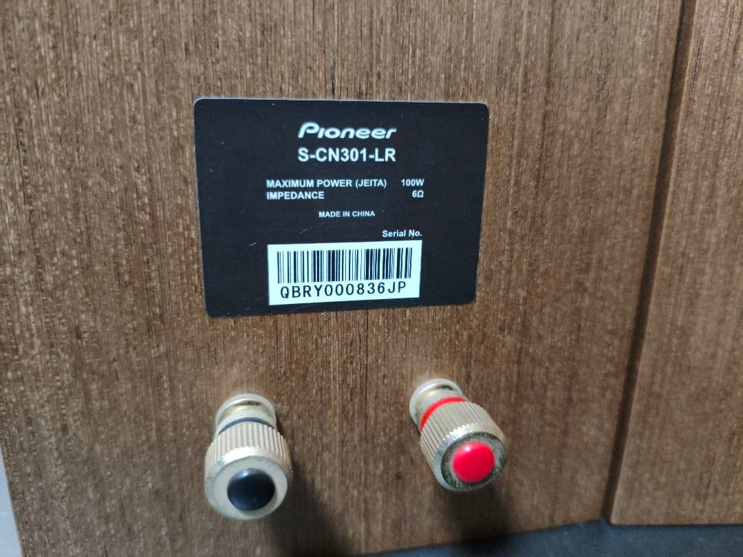 パイオニア S-CN301-LR 2ウェイスピーカーシステム Pioneer