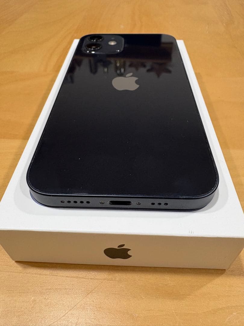 【美品】Apple iPhone 12 64GB ブラック（付属品完備）