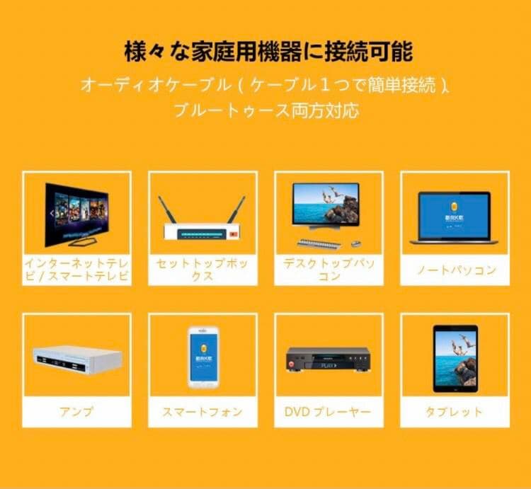 齋藤舞　カラオケ マイク  ワイヤレス マイク 2本 無線 接続