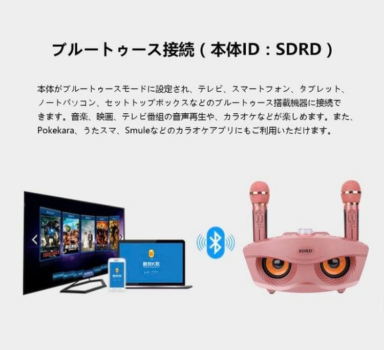 齋藤舞　カラオケ マイク  ワイヤレス マイク 2本 無線 接続