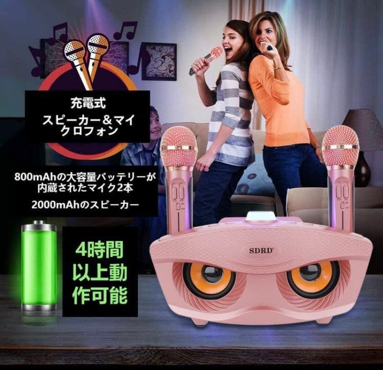 齋藤舞　カラオケ マイク  ワイヤレス マイク 2本 無線 接続