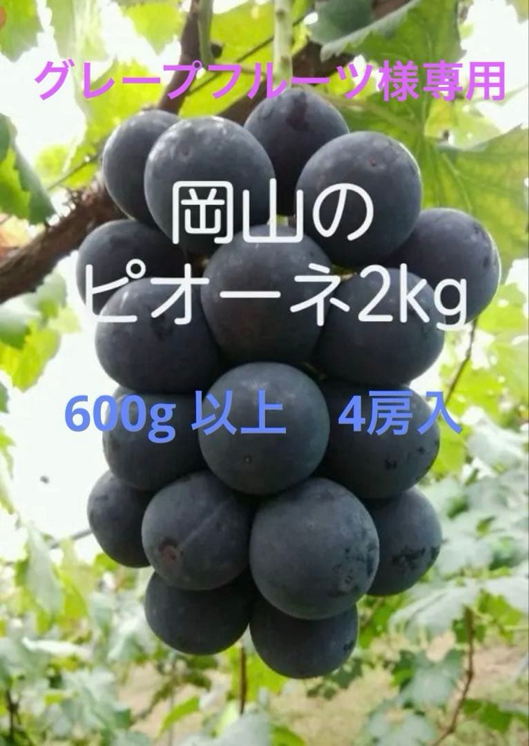 グレープフルーツピオーネ　シャインマシカット