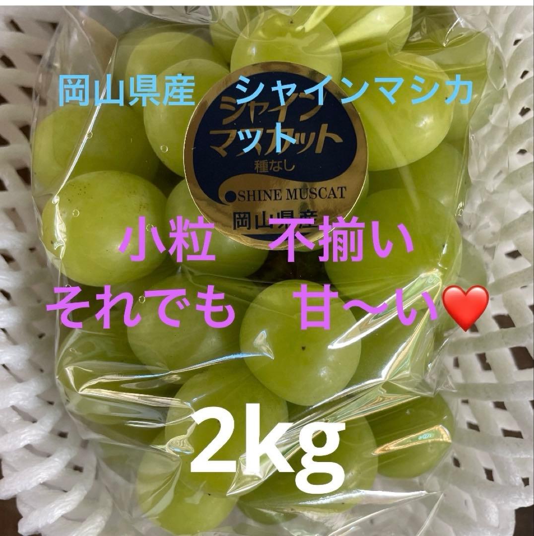 グレープフルーツピオーネ　シャインマシカット