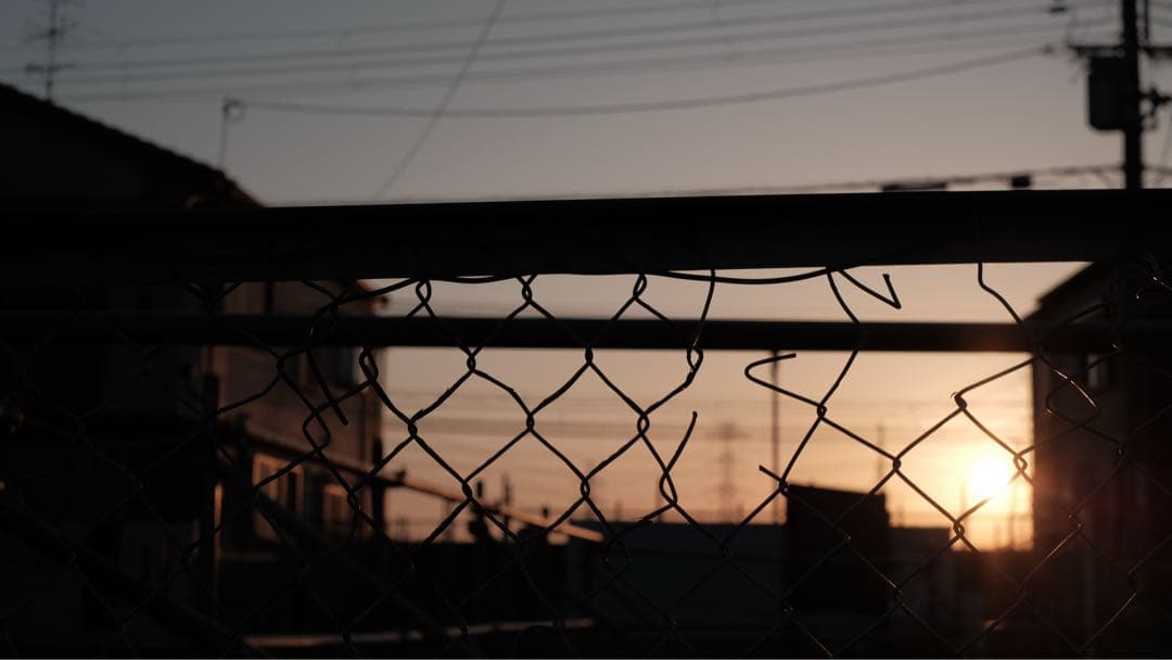 美品　CONTAX Carl Zeiss Planar 50mm F1.4